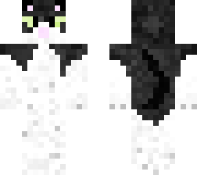 sassy (my cat)