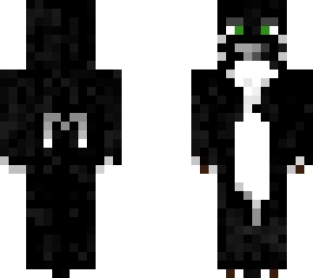 black and white cat