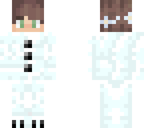snow origin