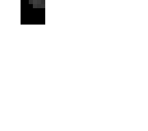tesla bot