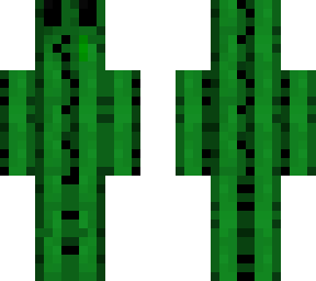 wippyprawn2404 cactus