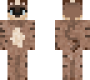 cat base