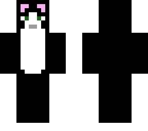 cat skin