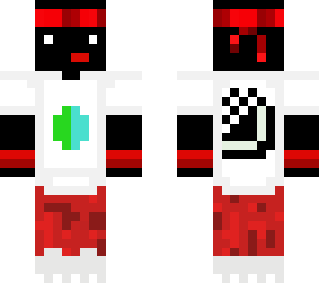 ninja skin