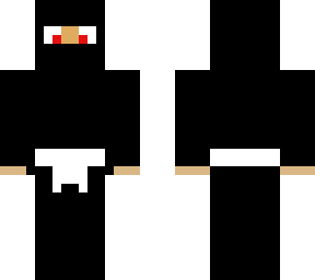 simple ninja skin