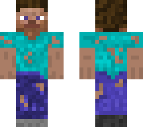steve survival