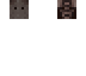 undead ender dragon skin