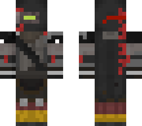 cyberspace ninja