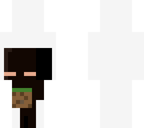 lil enderman