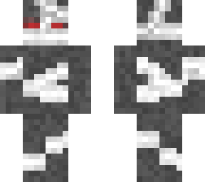 the adversary