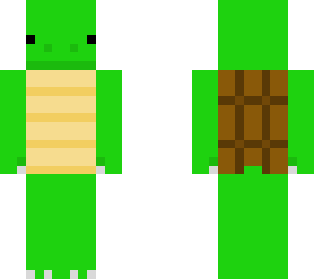 turtle
