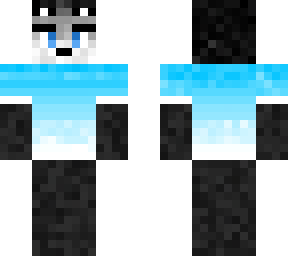 husky in blue top