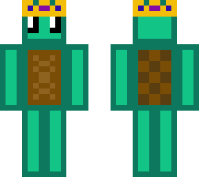 mountain turtle man guy
