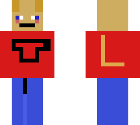 pov t series supporter