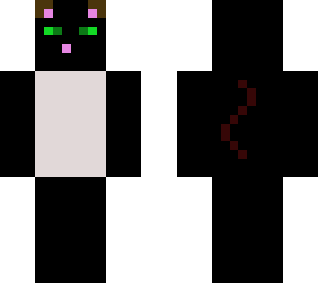 black cat