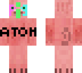 pig