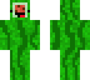 watermelon noob