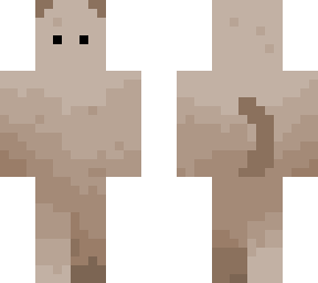 brown cat  >’-‘<