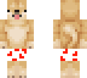 doge in pants