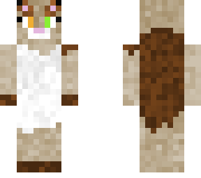 kitty cat