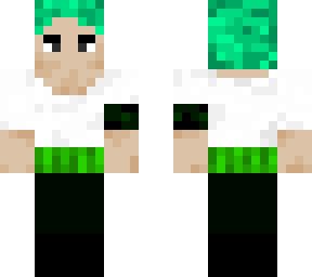 pre timeskip zoro