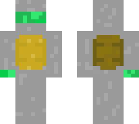 turtle robot
