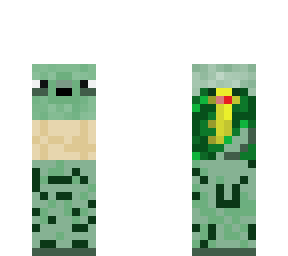 tortuga chiquita