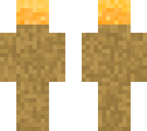 torch
