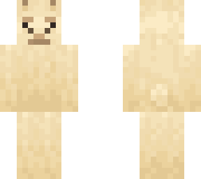 llama