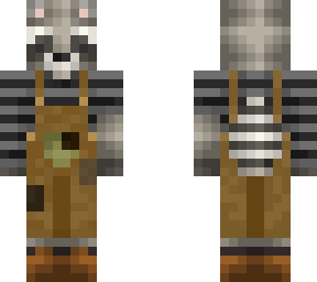 raccoon