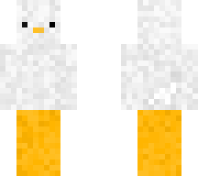 second matching duck