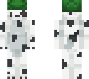 dalmatian doggo with turtle helmet