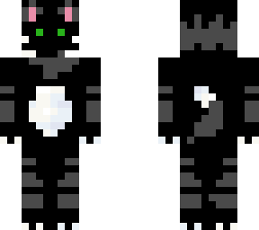 black cat