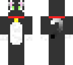 grey cat