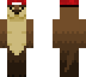 nutria con gorrito (editado)