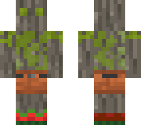 acacia