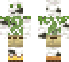 birch
