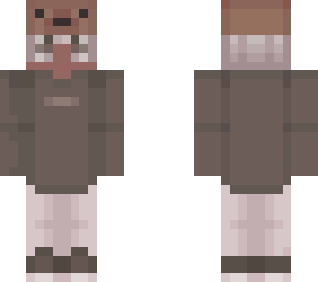 ace bear