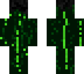 matrix wither skeleton (gaming centre)