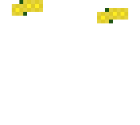 yellow flower crown