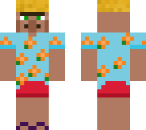 diario de un aldeano pringao: panfilo playero