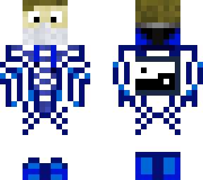 winter guardian assassin