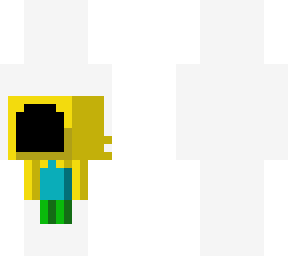 mini dominus areus