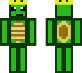 turtle cartoon