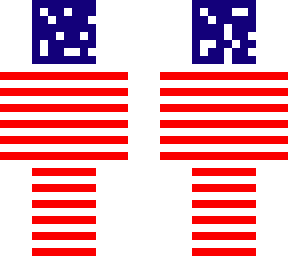 u.s flag