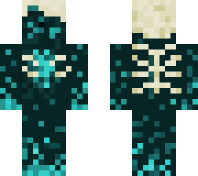 warden inspired skin