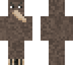 kiwi nz