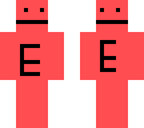 the e skin