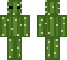 my cactus