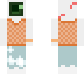 main skin